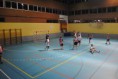 /album/a1er-trofeo-balonmano-sur1/dsc-0109-jpg/